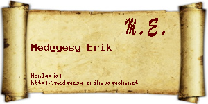 Medgyesy Erik névjegykártya